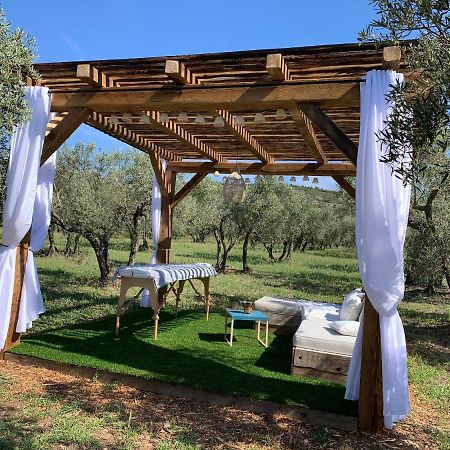 La Bergerie De Cigalon Bed & Breakfast Муриес Екстериор снимка
