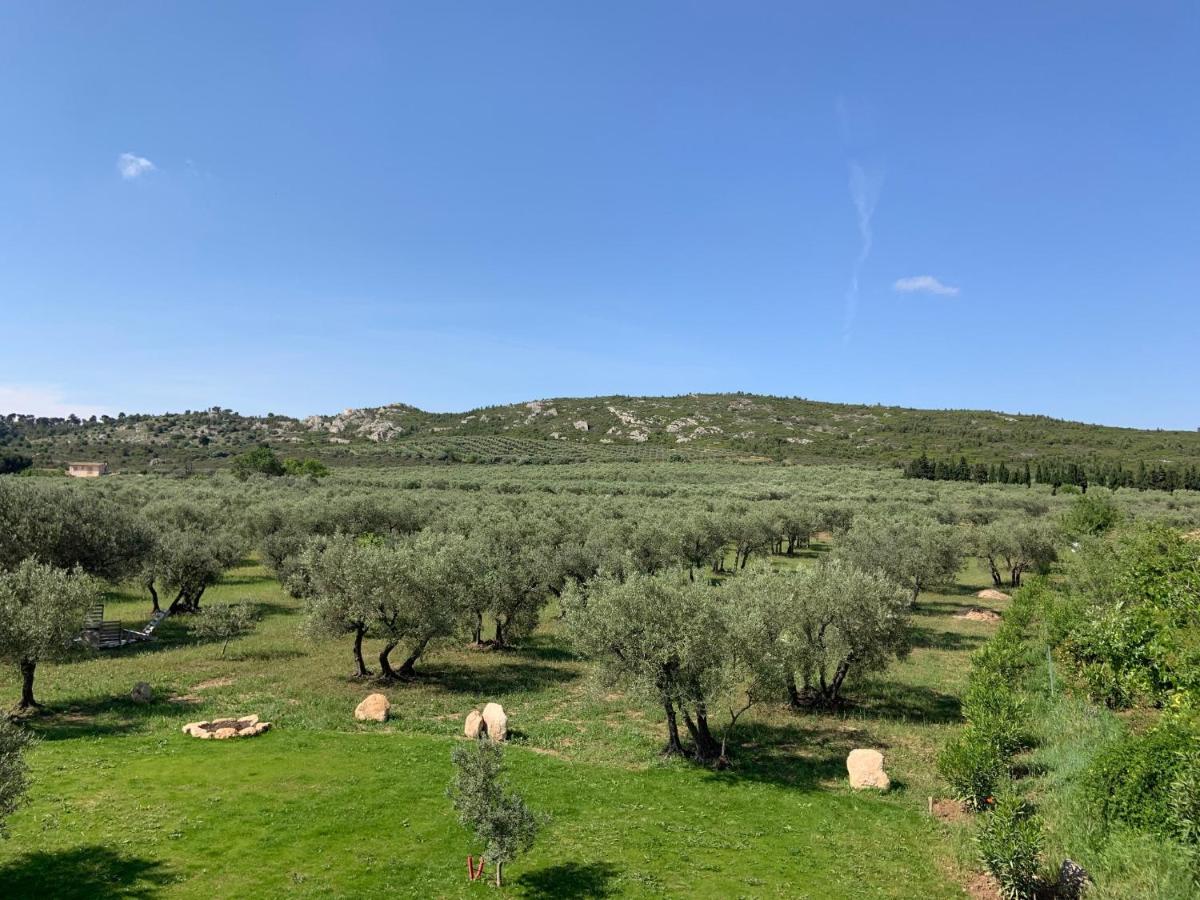 La Bergerie De Cigalon Bed & Breakfast Муриес Екстериор снимка