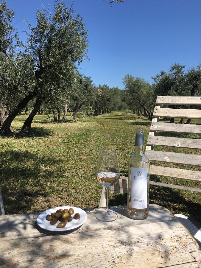 La Bergerie De Cigalon Bed & Breakfast Муриес Екстериор снимка