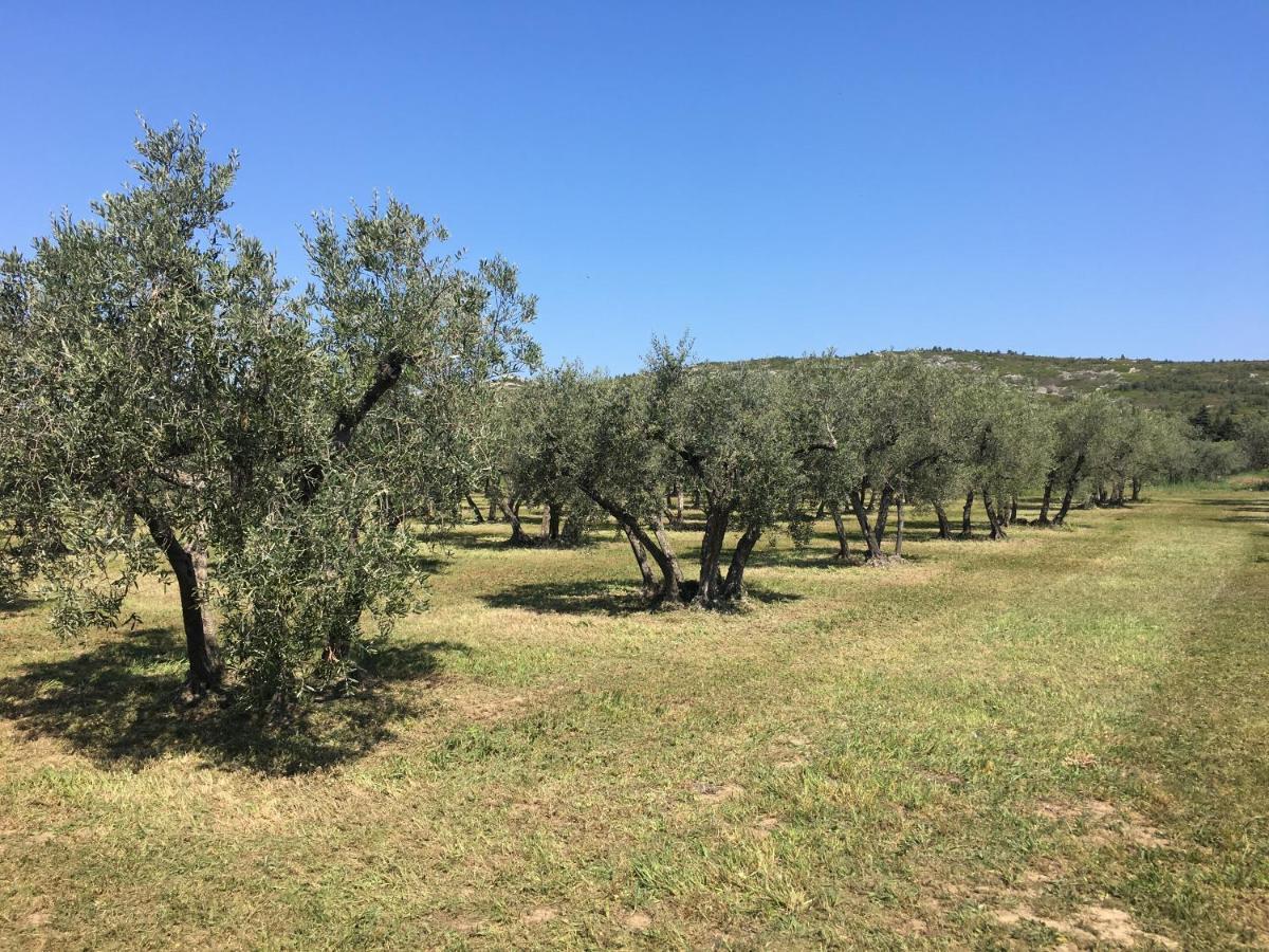 La Bergerie De Cigalon Bed & Breakfast Муриес Екстериор снимка