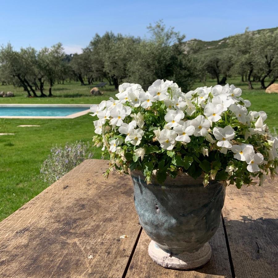 La Bergerie De Cigalon Bed & Breakfast Муриес Екстериор снимка