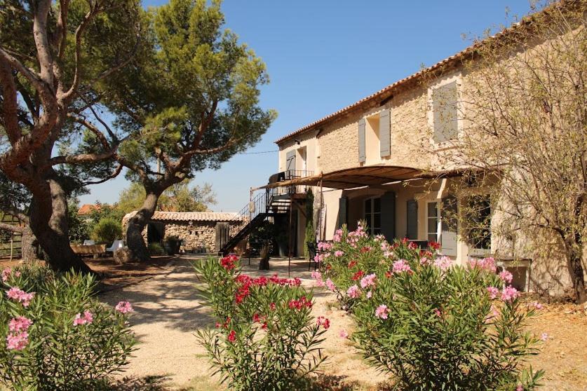 La Bergerie De Cigalon Bed & Breakfast Муриес Екстериор снимка