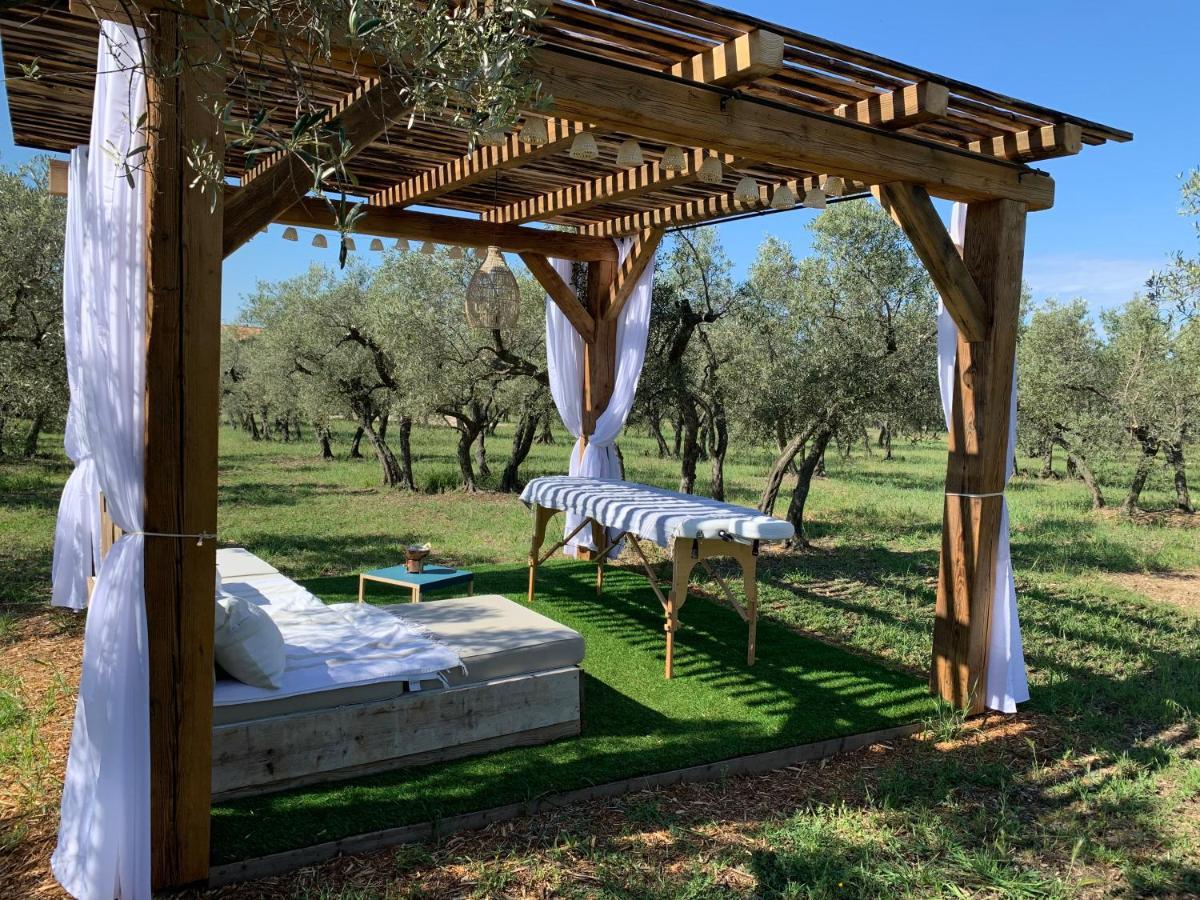 La Bergerie De Cigalon Bed & Breakfast Муриес Екстериор снимка